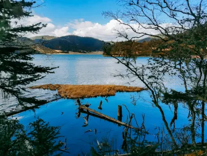 77спинс Казино Мобилно приложение